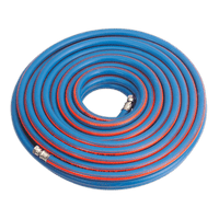 Píobán Aeir Sealey AH20R/38 20m x Ø10mm le hAontais BSP 1/4" Tromshaothair