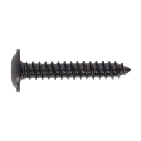 Sealey BST4225 Self Tapping Screw 4.2 x 25mm Flanged Head Black Pozi BS 4174 Pack of 100