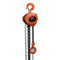 Sealey CB1000 Chain Block 1tonne 2.5m