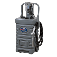 Sealey DT55GCOMBO1 Mobile Dispensing Tank 55L with Diesel Pump - Grey