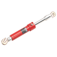 Sealey RE91/10 Pull Ram Kit 10tonne